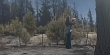Villarruel viajó a Chubut de incógnito y pidió «cárcel efectiva» para quienes cometan incendios intencionales