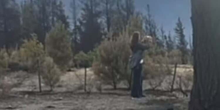 Villarruel viajó a Chubut de incógnito y pidió «cárcel efectiva» para quienes cometan incendios intencionales