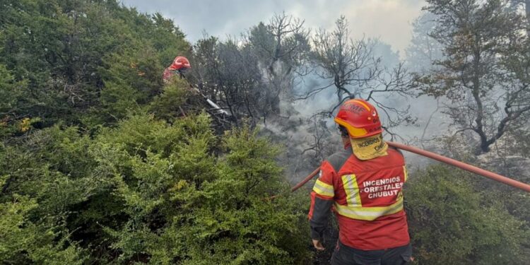Chubut: el fuego no da tregua y la mesa chica de Milei se reúne para «analizar» si declara la Emergencia Ígnea