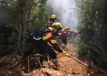 Incendios en Chubut: el Gobierno declaró la Emergencia Ígnea