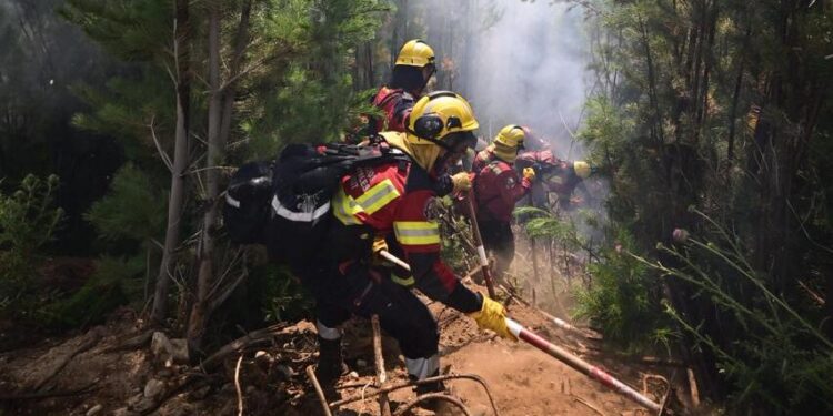 Incendios en Chubut: el Gobierno declaró la Emergencia Ígnea