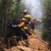 Incendios en Chubut: el Gobierno declaró la Emergencia Ígnea