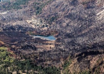 Patagonia en llamas: en tres meses se quemó una superficie equivalente a CABA