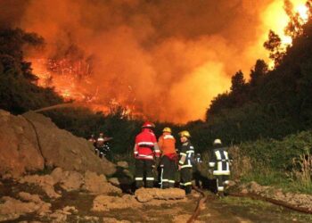 El fuego arrasa el sur de Chile, deja un saldo de 16 muertos y hay 50 mil evacuados