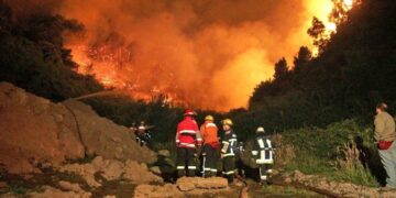 El fuego arrasa el sur de Chile, deja un saldo de 16 muertos y hay 50 mil evacuados