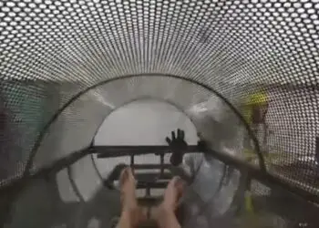 Hervir y licuar hasta el polvo: legalizan la «aquamación» como nuevo ritual mortuorio