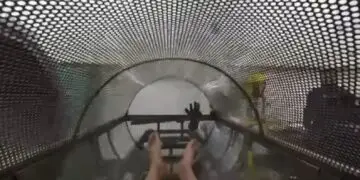 Hervir y licuar hasta el polvo: legalizan la «aquamación» como nuevo ritual mortuorio