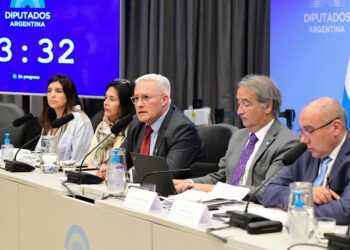 Glaciares: otra jornada de rechazos y fallas técnicas que sembraron incertidumbre en el oficialismo