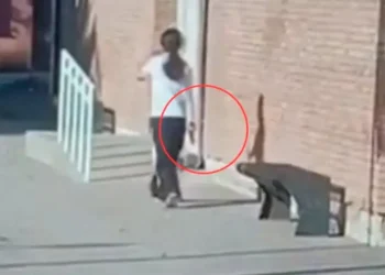 Declaró la nena que fue armada a la escuela y ahora investigan a un celador por delitos sexuales