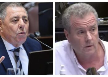 Asesores “blue” en el Senado: contratos de hasta $5 millones y los nuevos cargos de Milman y De Ángeli en el Congreso