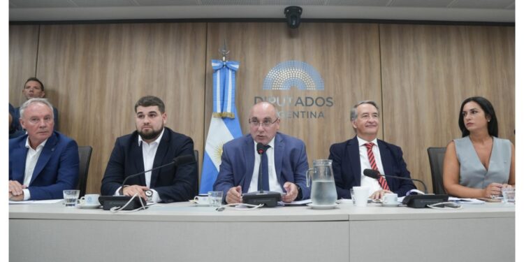 La audiencia por la Ley de Glaciares desbordó Diputados: ya hay casi 30 mil inscriptos y el oficialismo busca cómo ordenar el debate