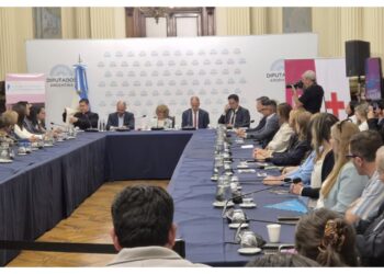 Reaparece la agenda antiaborto en LLA y expone fisuras en el oficialismo