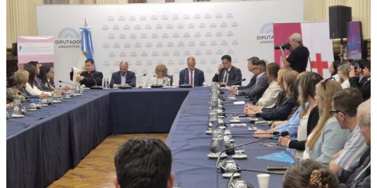 Reaparece la agenda antiaborto en LLA y expone fisuras en el oficialismo