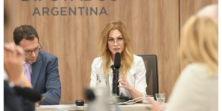 Chicanas, bromas y advertencias: así debutó Lemoine en la Comisión de Juicio Político