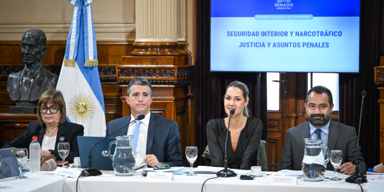 Bullrich empuja el blanqueo de armas en el Senado y ya tiene dictamen