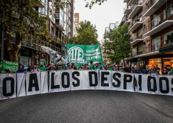 Achicar no siempre es eficiente: el debate que abre la «motosierra» de Milei