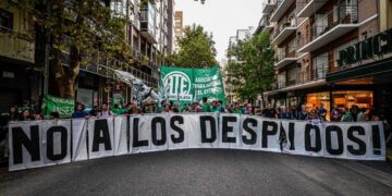 Achicar no siempre es eficiente: el debate que abre la «motosierra» de Milei