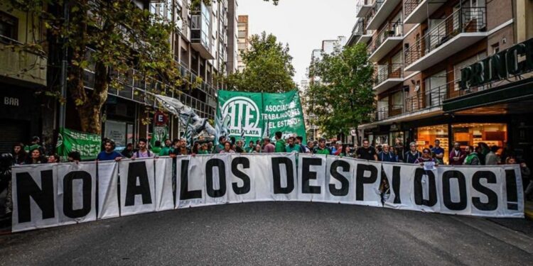 Achicar no siempre es eficiente: el debate que abre la «motosierra» de Milei