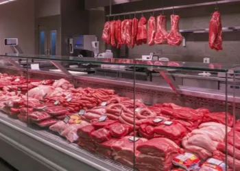 Crisis: después de la carne de burro, ahora buscan imponer la de guanaco