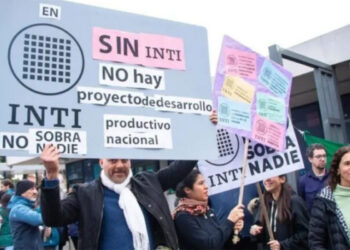 Achicar no siempre es eficiente: el debate que abre la «motosierra» de Milei