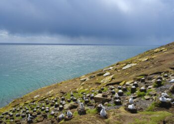 Argentina ve pasar una millonada por no tener soberanía sobre los hidrocarburos de Malvinas