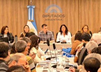 Discapacidad: ante la inacción de LLA, la oposición se autoconvocó y exigió juicio político a Mario Lugones