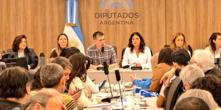 Discapacidad: ante la inacción de LLA, la oposición se autoconvocó y exigió juicio político a Mario Lugones