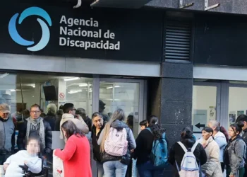 Lugones auditó sobreprecios de hasta el %4200 en ANDIS y enterró más a Spagnuolo