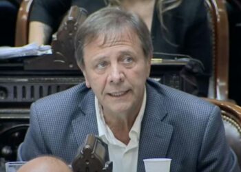 Zago: «No lo cuidan a Milei, con Adorni y Espert lo hicieron quedar como defensor de mentirosos»