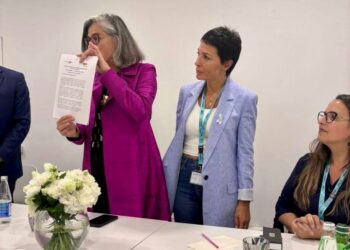 Sin ayuda de Nación ni Provincia, Mayra Mendoza busca fondos extranjeros para obras