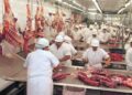 Récord de importaciones de carne y consumo en caída: la tensión del modelo económico