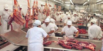 Récord de importaciones de carne y consumo en caída: la tensión del modelo económico