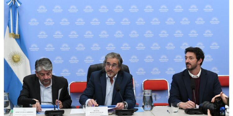 Diputados: el oficialismo sacó dictamen para Súper RIGI, pero Adorni amenaza la sesión del 24