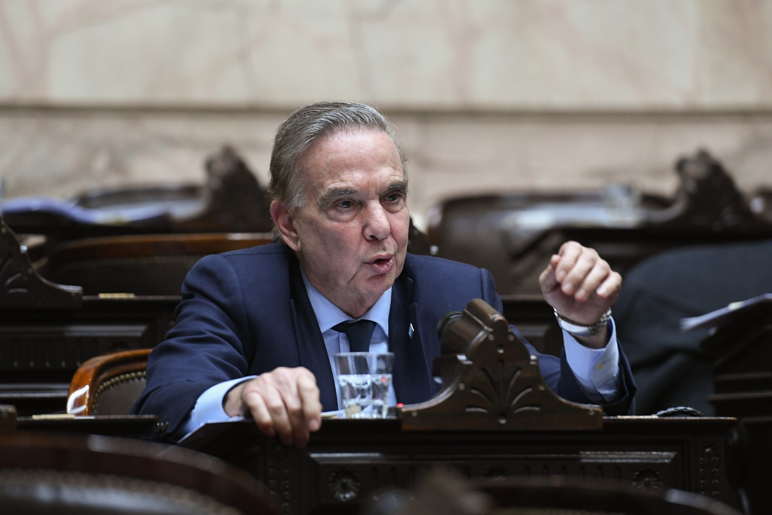 Miguel Pichetto durante su intervención en el recinto.