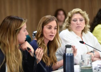 Tolosa Paz: «No podemos creer que no le pidan la renuncia a Adorni»