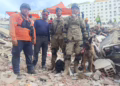Bart, el perro argentino que ya rescató a dos nenes entre los escombros