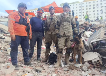 Bart, el perro argentino que ya rescató a dos nenes entre los escombros