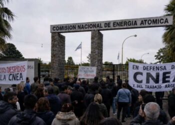 Denuncian que los despidos de la CNEA paralizan los avances científicos argentinos