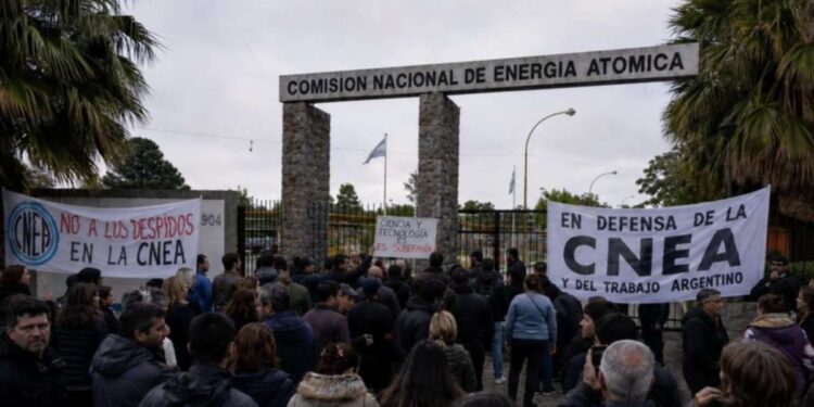 Denuncian que los despidos de la CNEA paralizan los avances científicos argentinos