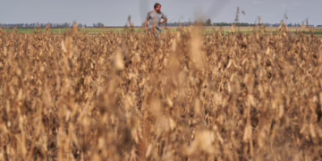 El fenómeno de El Niño amenaza a los mercados emergentes