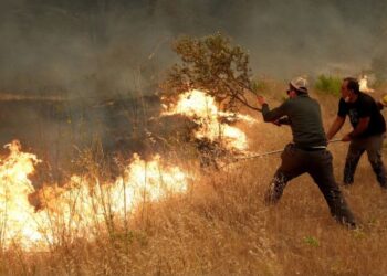 España y Francia enfrentan una crisis sin precedentes (FOTO: X)