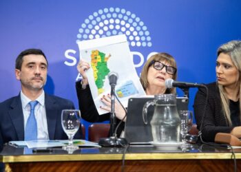 Bullrich presentó la reforma de la Ley de Tierras con un techo del 25% de extranjerización