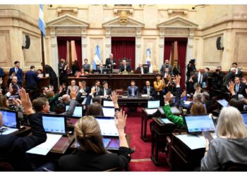 El Senado dio media sanción a la ley de propiedad privada, pero cedió otro capítulo