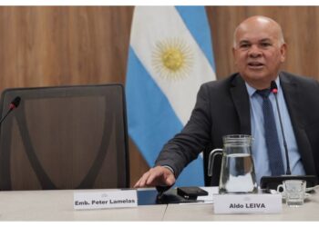 Lamelas faltó a Diputados tras el apriete a la cooperativa que acordó con Huawei