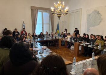 “No son falsas denuncias, faltan denuncias”: legisladoras bonaerenses criticaron el proyecto de Losada