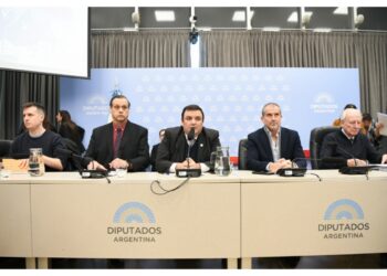 LLA consiguió el dictamen de Discapacidad, tras un año de bloquear el tema en Diputados