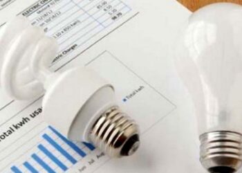 El Gobierno entró en modo campaña y frenó parte del ajuste en los subsidios a la luz