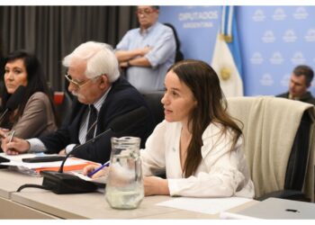 El Gobierno no quiere partir el proyecto de Malvinas y propone una bicameral