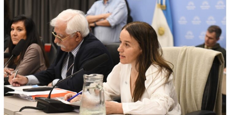 El Gobierno no quiere partir el proyecto de Malvinas y propone una bicameral