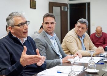 Carlos Puglelli, presidente de la Comisión de Seguridad en Diputados (Foto: Prensa Diutados)
